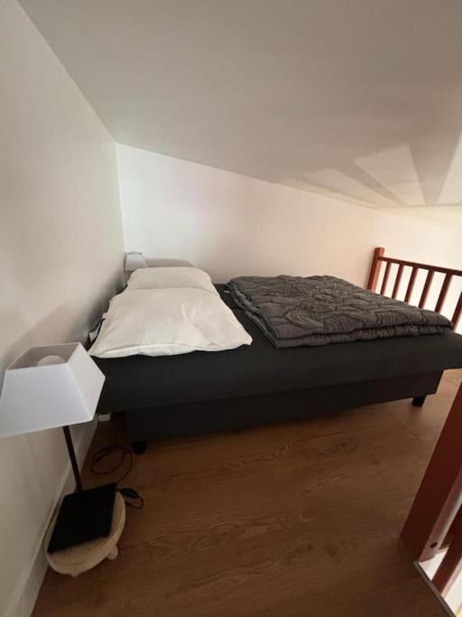 Charmante Maison Bord De Marne Maisons-Alfort Esterno foto