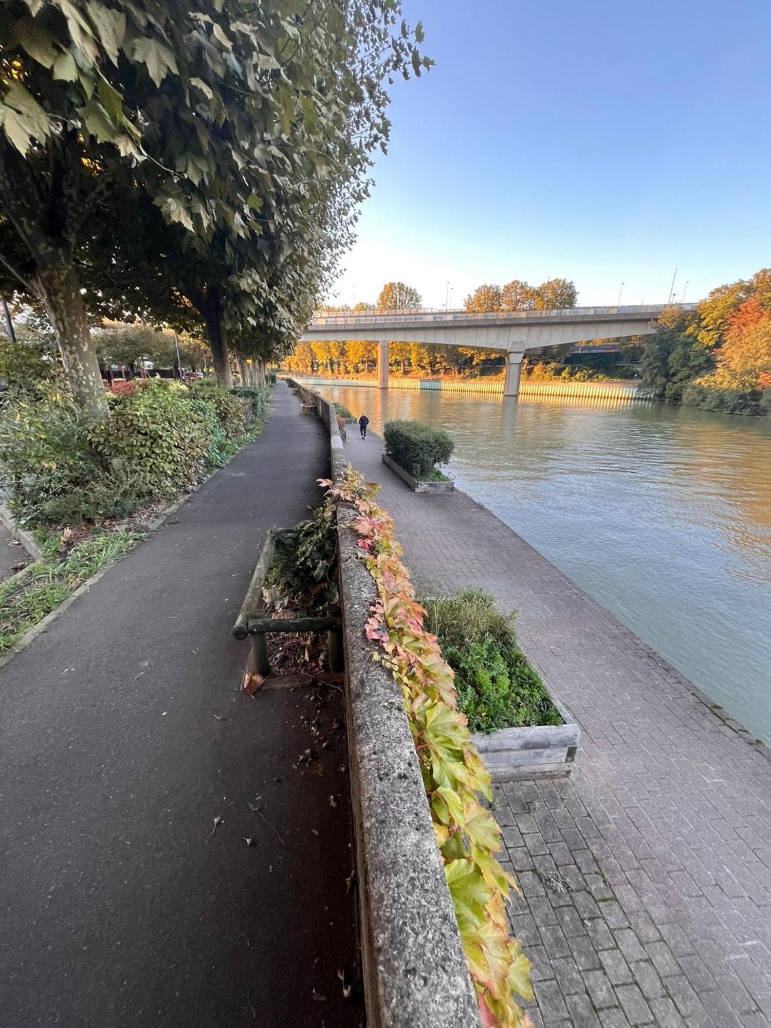 Charmante Maison Bord De Marne Maisons-Alfort Esterno foto